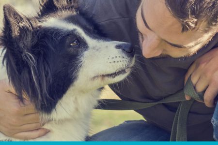 Helping our Furry Friends in Texas