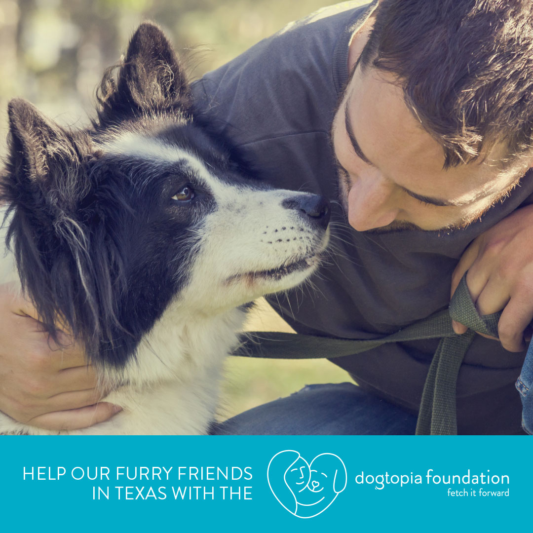 Helping our Furry Friends in Texas