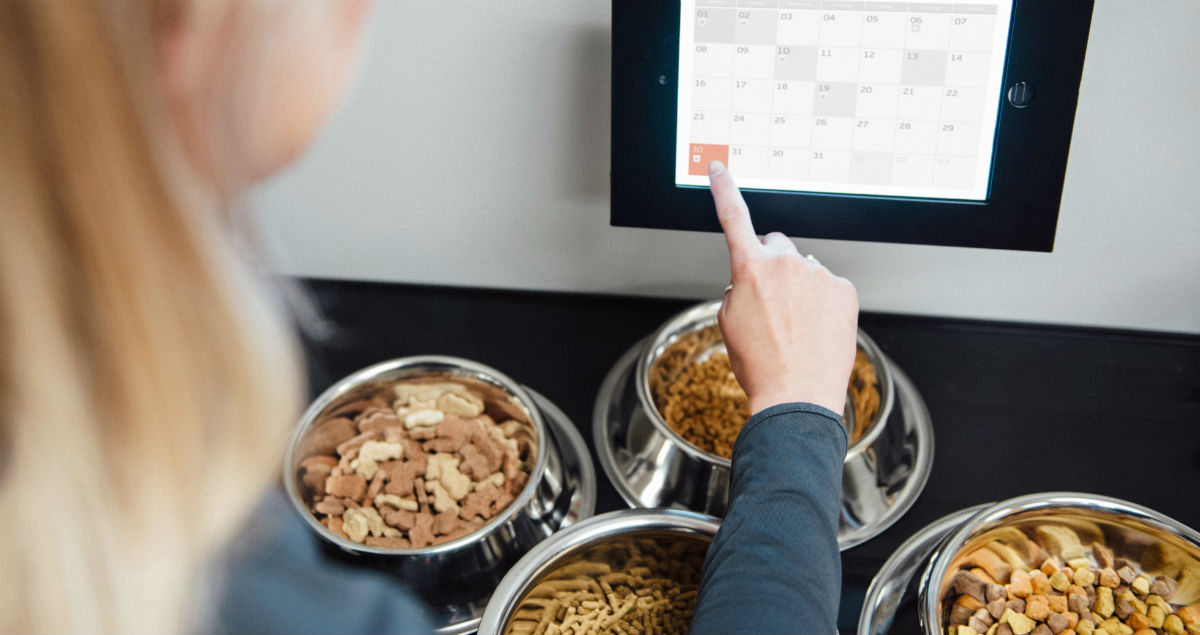 Dog Nutrition Dogtopia