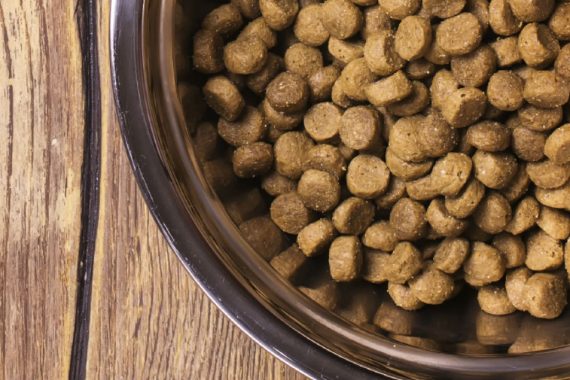 Does Nutro Dog Food Come from China? Discover the Truth!