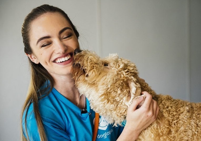 Happy dog loves kissing team member
