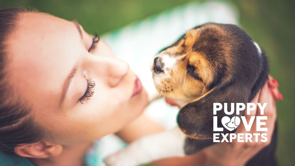 puppy love experts