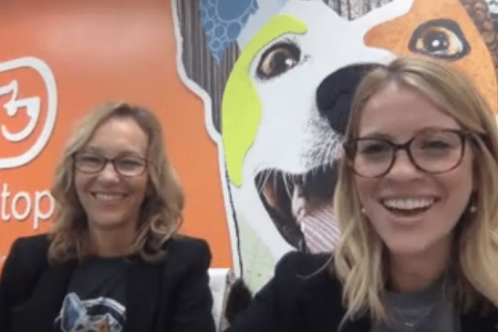 Dog expert advice video