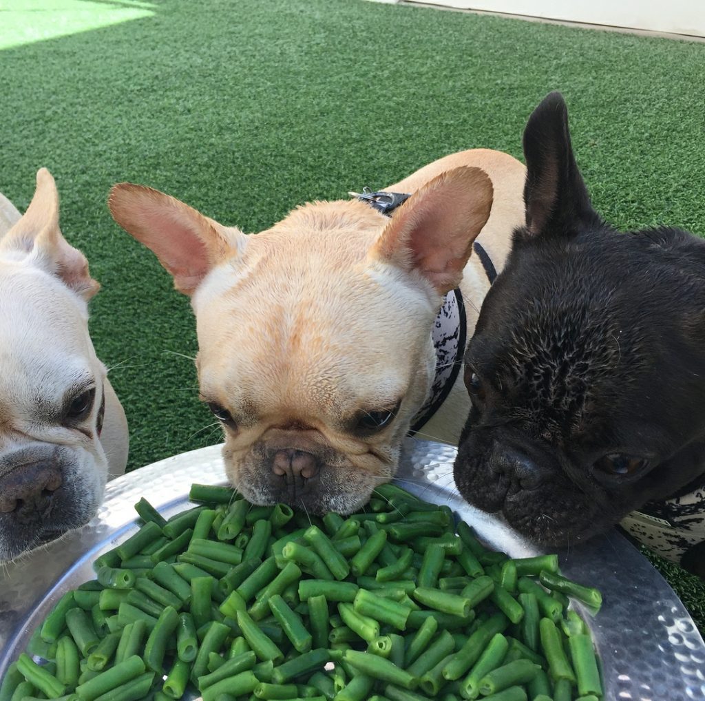 Safe Green Vegetables for Your Dog Dogtopia