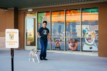 Dog Leaving Dogtopia Facilities