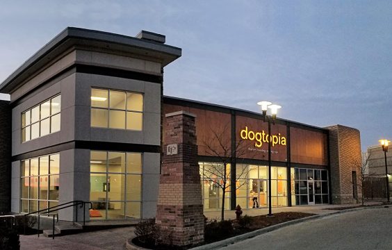 Dogtopia Outside View