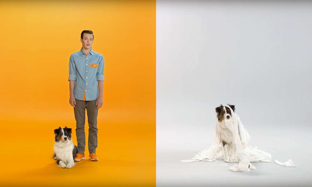 The Dogtopia Difference