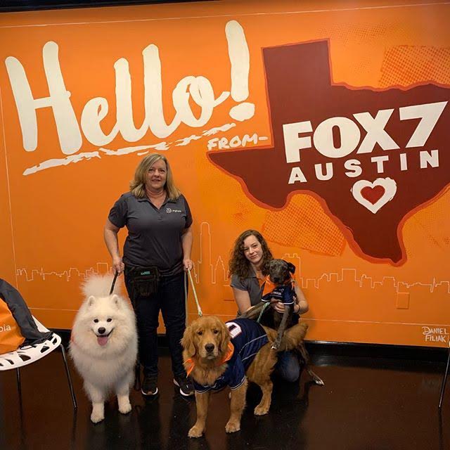 Canine Coaches Posing with Two Dogs