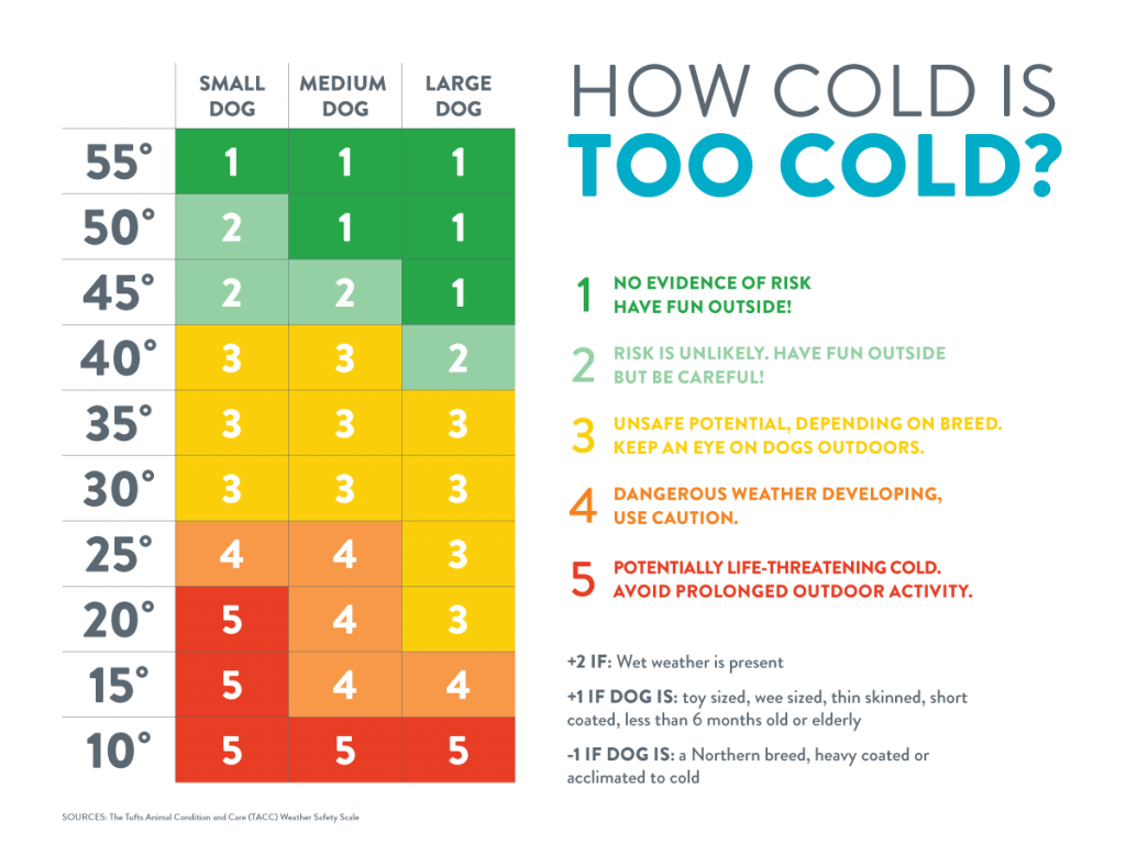 how-to-get-to-sleep-when-it-s-too-cold-the-sleep-site-dave-gibson