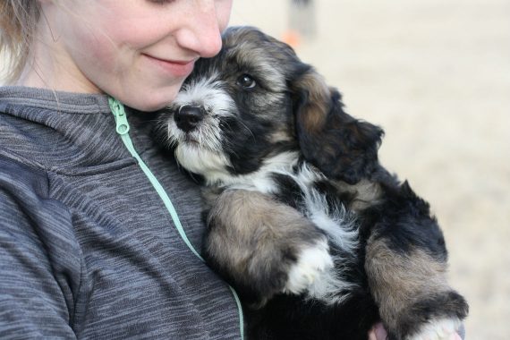 Woman cuddling small dog