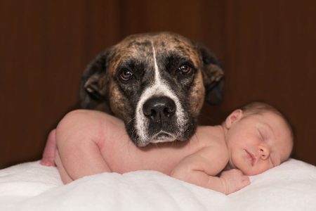 Big Dog and Small Baby