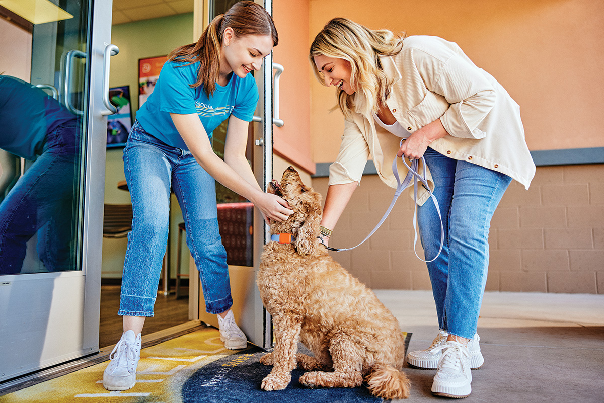 Meet DASH: The New Way to See Your Dog’s Day in Motion