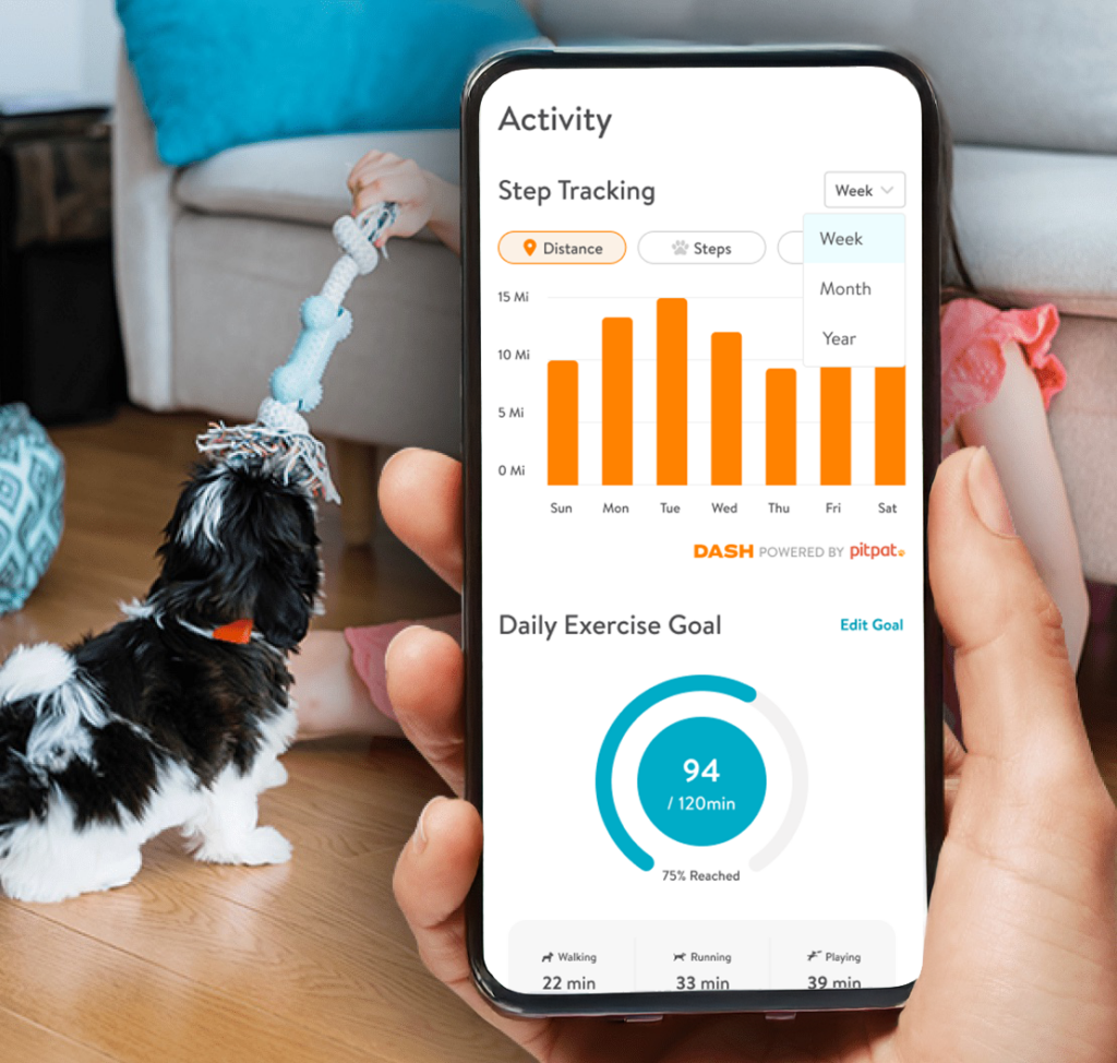 Dash Activation In Store DASH - Activity Monitor - Dogtopia