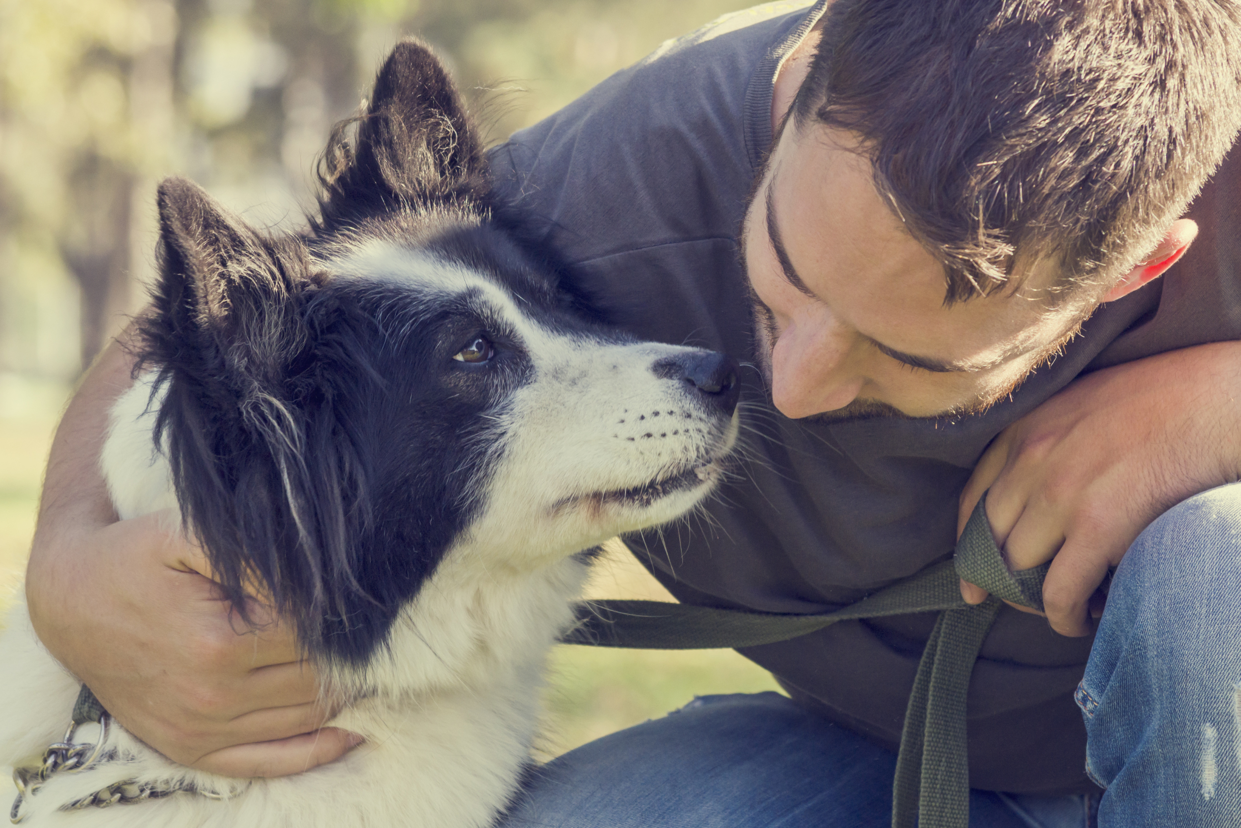 Male dog owner crouching down to pet black and white dog