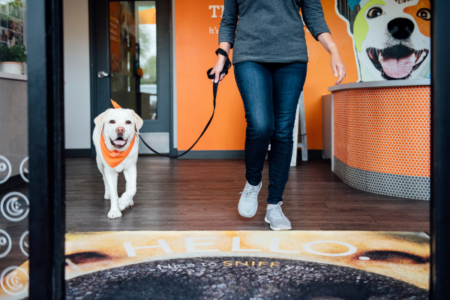 A dog on leash with dog owner walking out of Dogtopia lobby
