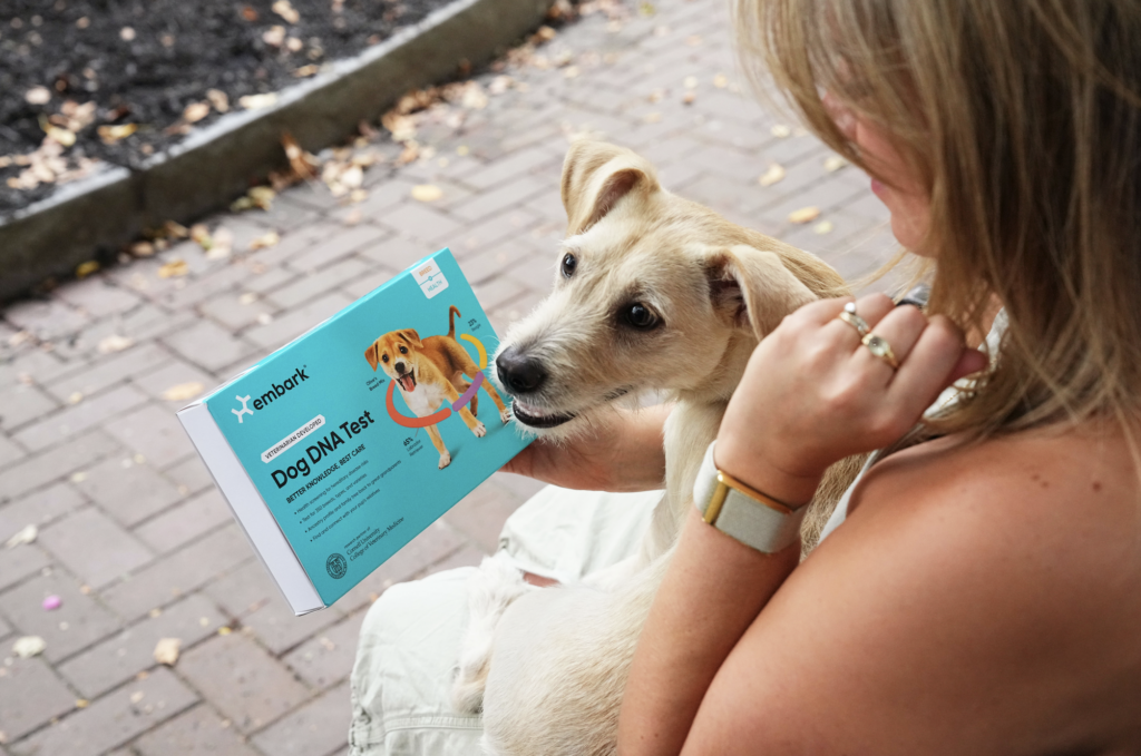 The Science of a Longer, Happier Life: How DNA Insights and Daycare Work Together for Your Dog’s Wellness