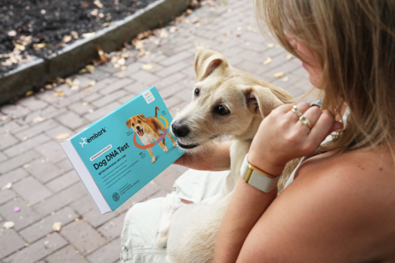 Embark Dog DNA Test kit
