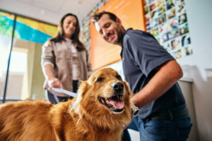 A Golden Retriever dog, a pet parent, and a Dogtopia employee in main lobby of a Dogtopia dog daycare location