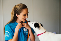 Dogtopia worker training dog