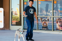 Dogtopia worker walking a dog