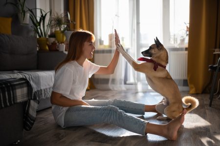 Dog and woman on floor giving high five