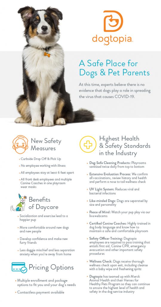 https://s3-prod.dogtopia.com/wp-content/uploads/2020/05/ASafePlace_Infographic_EmailGraphic_UV-539x1024.jpg