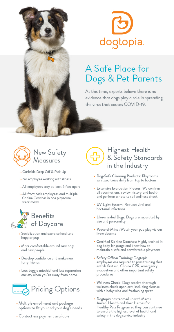 Dogtopia Daycare A Safe Place for Dogs & Pet Parents Dogtopia