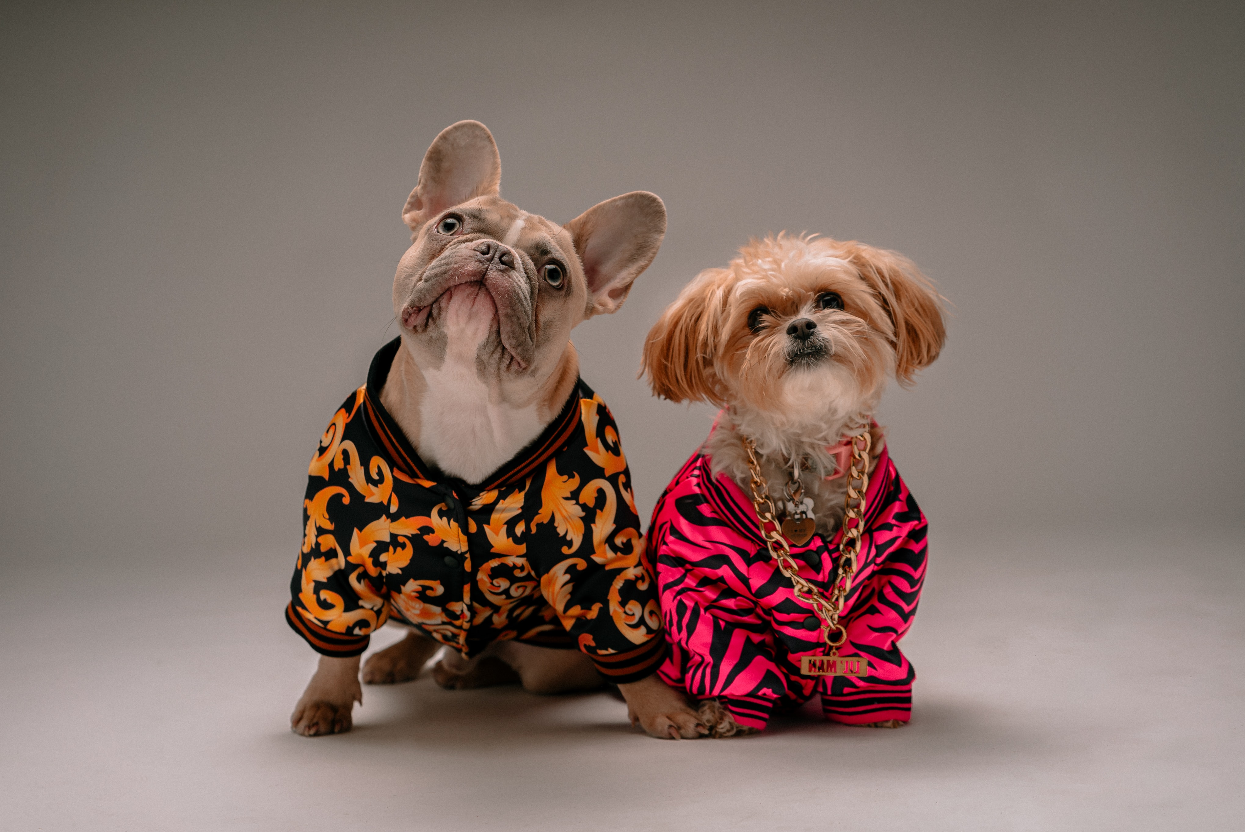 Two dogs beside each other wearing costumes