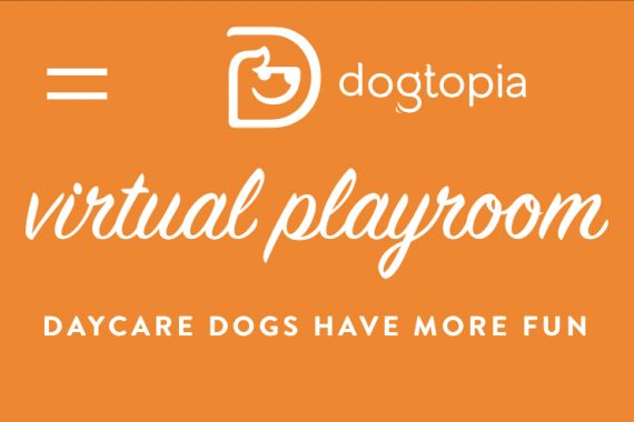 Orange background with text saying "Dogtopia virtual playroom daycare dogs have more fun"