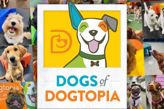 Dogs Of Dogtopia Calendar contest