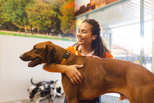 Dogtopia Canine Coach petting dog in playroom