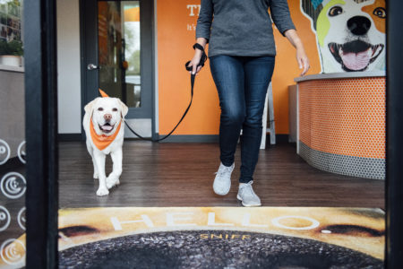 Dog on a leash exiting a Dogtopia lobby.