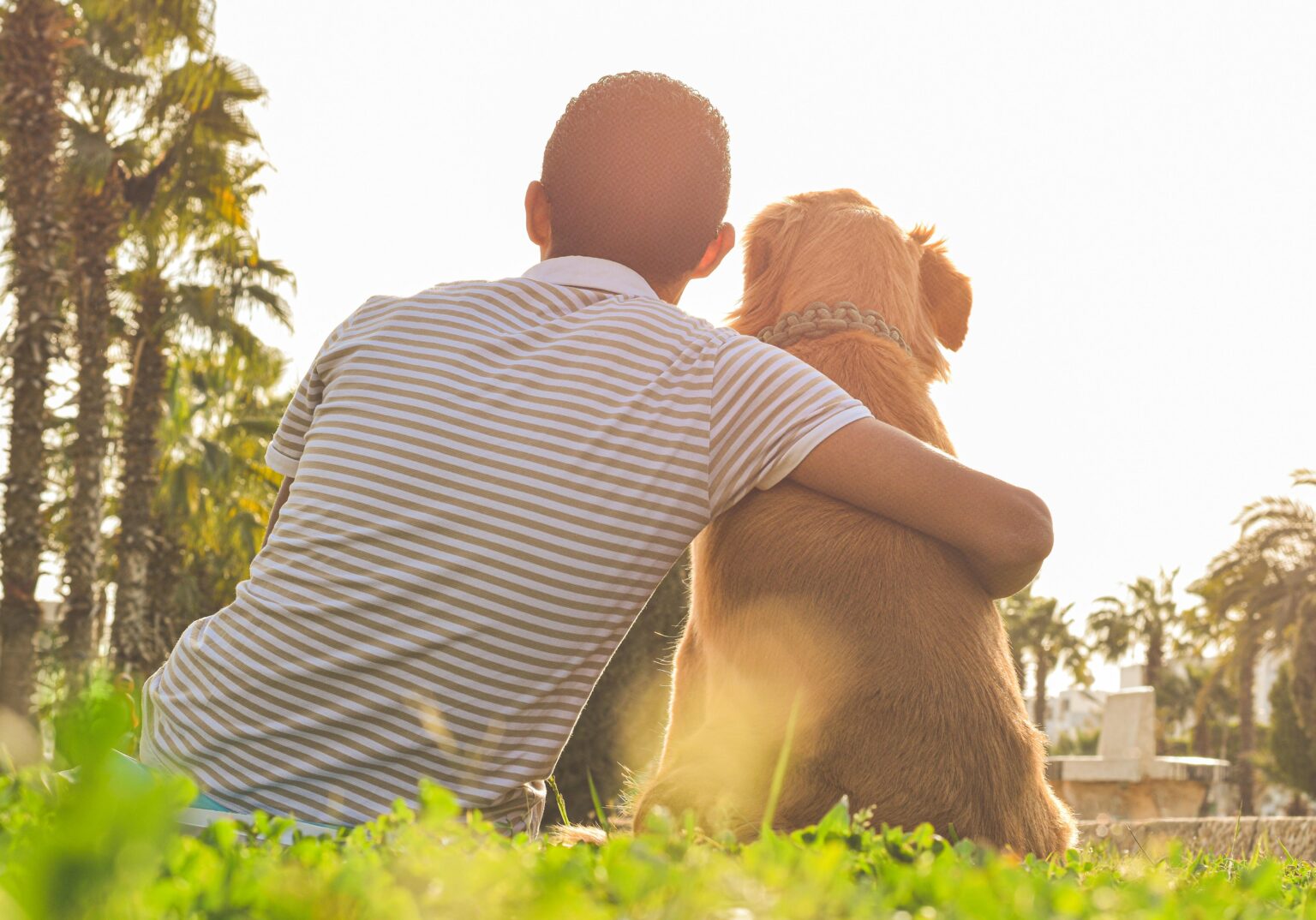 Male dog owner with arm around dog outside sitting on grass with backs facing the camera