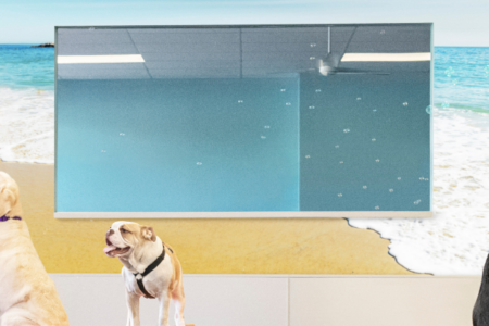 A group of dogs in a Dogtopia dog daycare playroom with two Canine Coaches