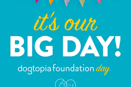 Dogtopia Foundation Day