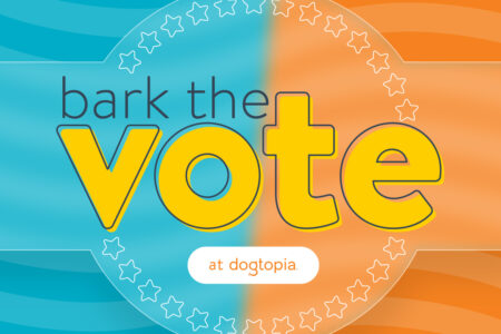 bark the vote election day dogtopia winning treat showcase