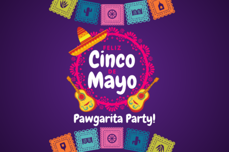 feliz cinco de mayo pawgarita party