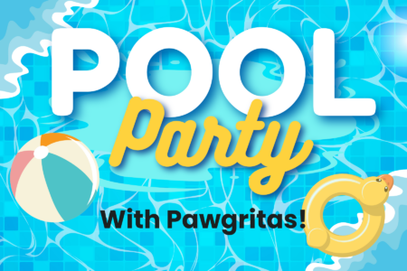 Pawgarita Pool Party at Dogtopia Lafayette