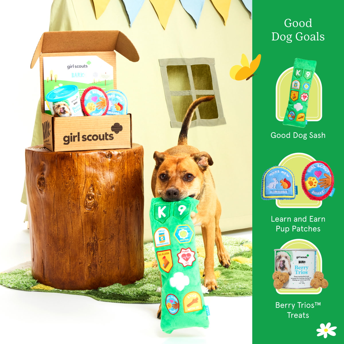 Girl Scouts Lafayette