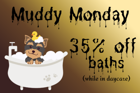 muddy monday 35% off bath