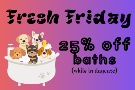 fresh friday discount baths for daycare dogs at dogtopia lafayette