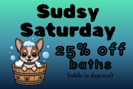 sudsy saturday 25% off
