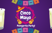 cinco de mayo pawgarita party