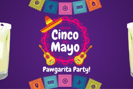 cinco de mayo pawgarita party