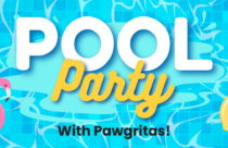 pool party with pawgaritas at dogtopia lafayette