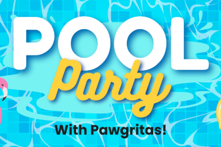 pool party with pawgaritas at dogtopia lafayette