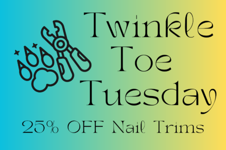 2026 August Twinkle Toe Tuesday