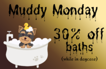 Muddy Monday