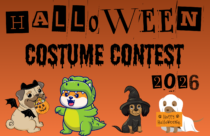 halloween costume contest 2026
