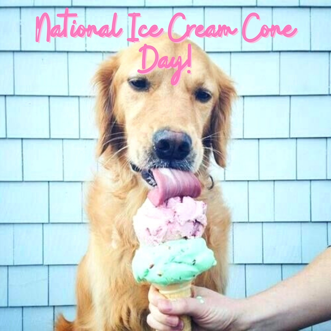 National Ice Cream Cone Day North Austin
